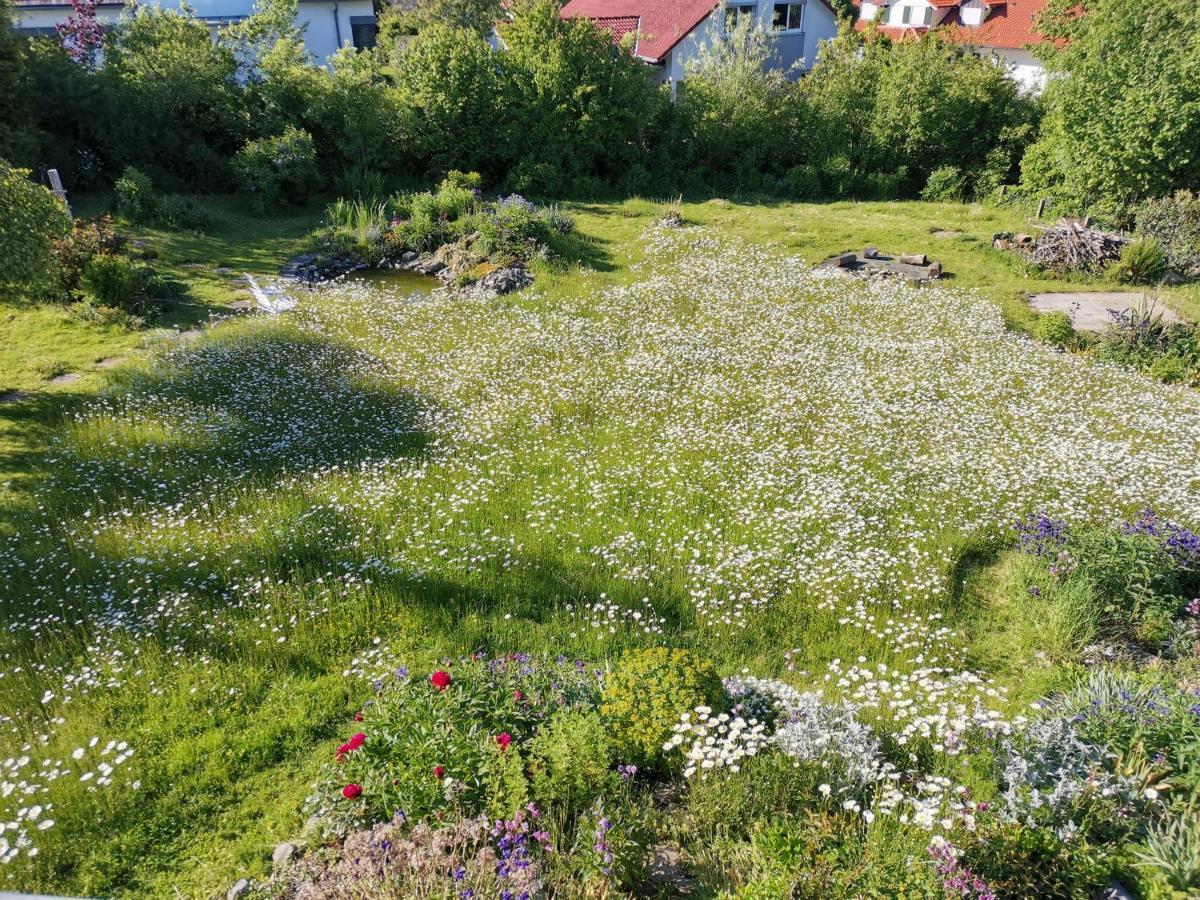 Moderne Ferienwohnung Gartenblick Amtzell Ngoại thất bức ảnh